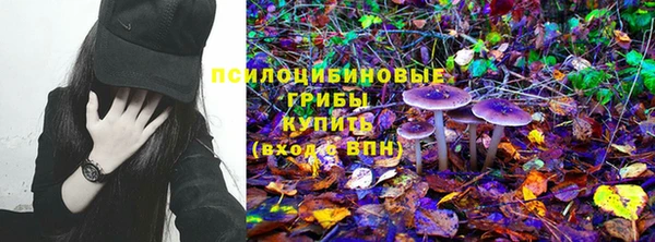 прущая мука Покачи